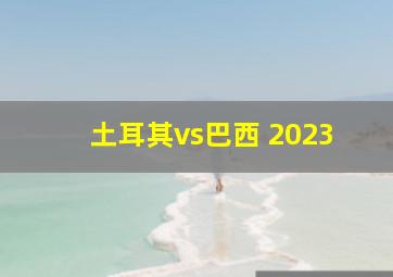 土耳其vs巴西 2023